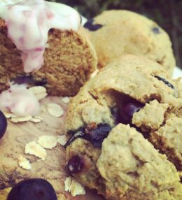 Blueberry Oat Scones