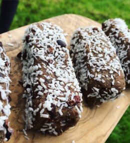 Blueberry and Cranberry Chia Bars